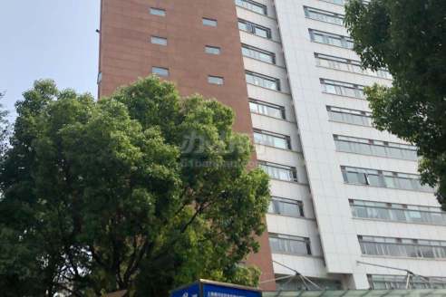 凤凰大楼,房如其名,12号线地铁口,领略漕河泾性价比